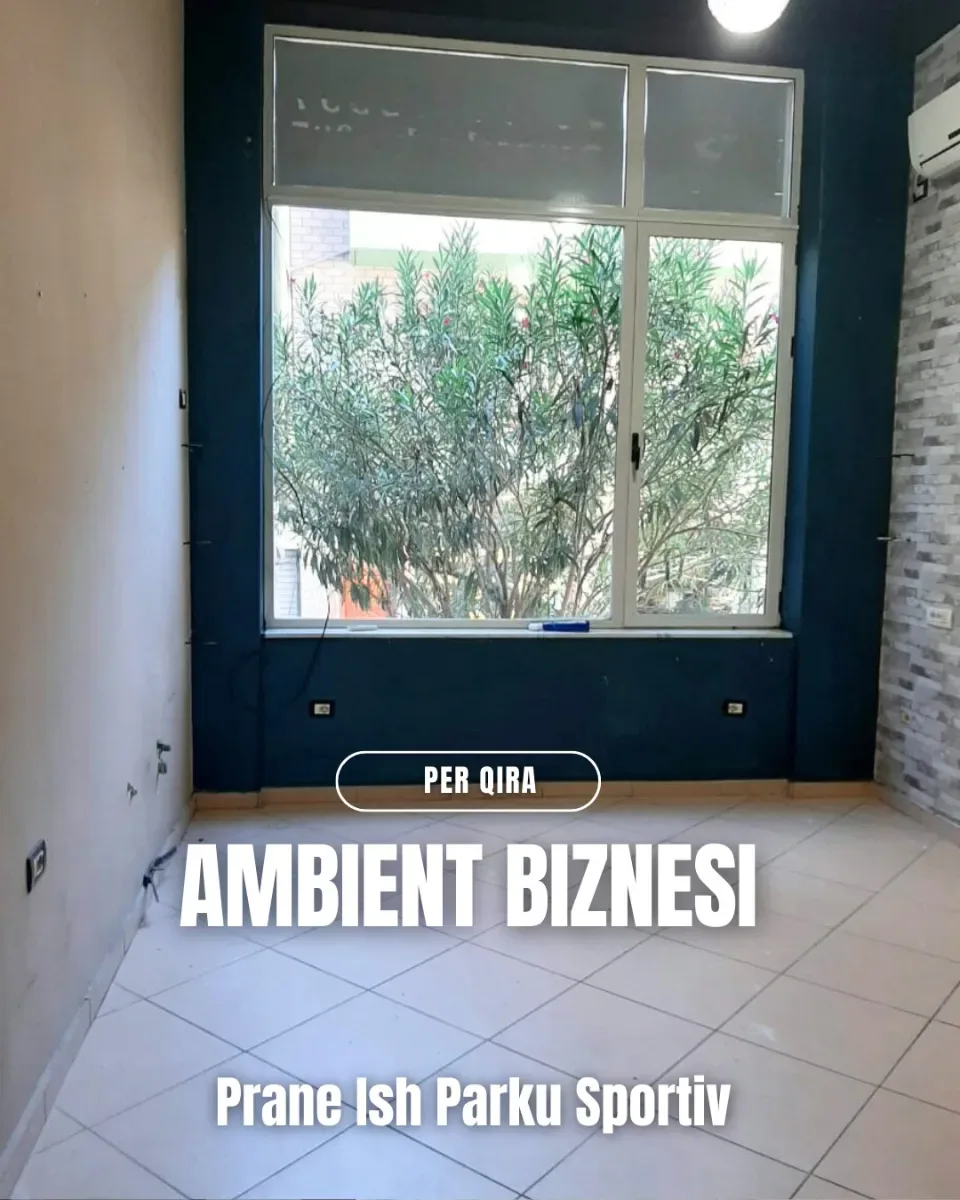 Ambient biznesi prane Ish Parkut Sportiv 4