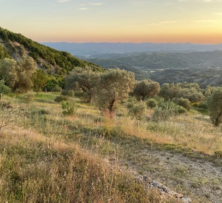 Shitje | Tokë / Truall | Petrelë | 300000 €