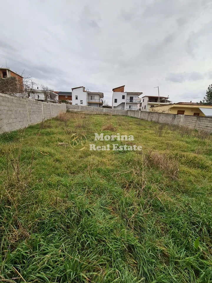 Shitje | Tokë / Truall | Domje | 150000 €