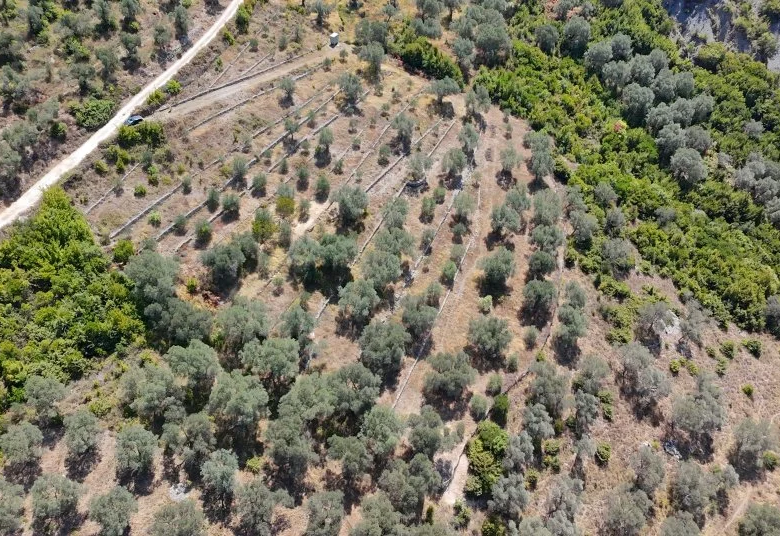Shitje | Tokë / Truall | Petrelë | 300000 €
