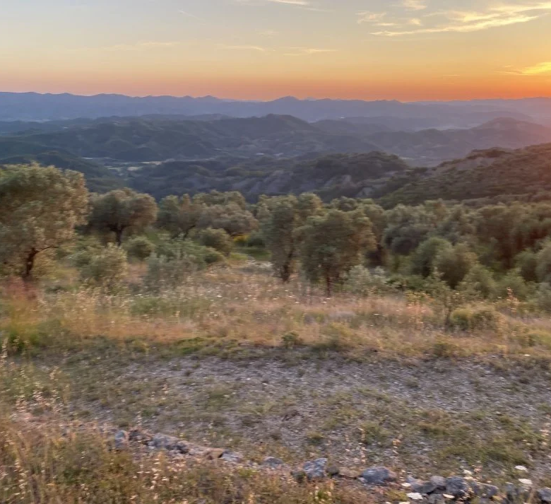 Shitje | Tokë / Truall | Petrelë | 300000 €