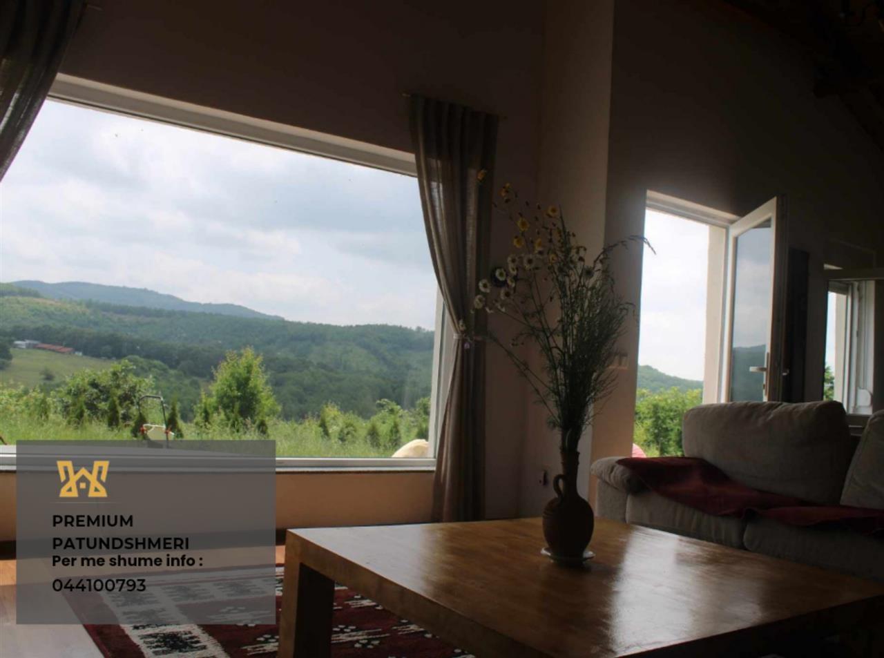 Villa ne Shitje