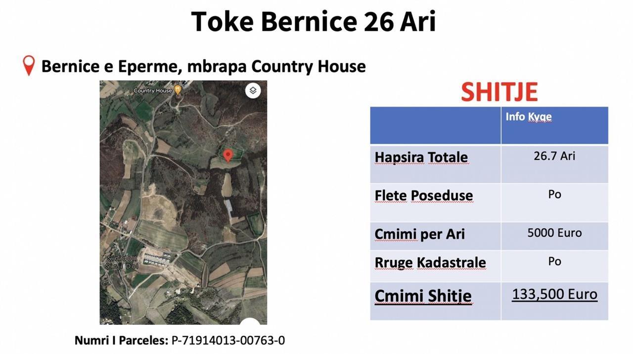 Toke ne shitje ne Bernice.