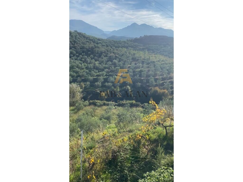 TEK LIQENI I CERKEZES TOKE PER SHITJE! 4