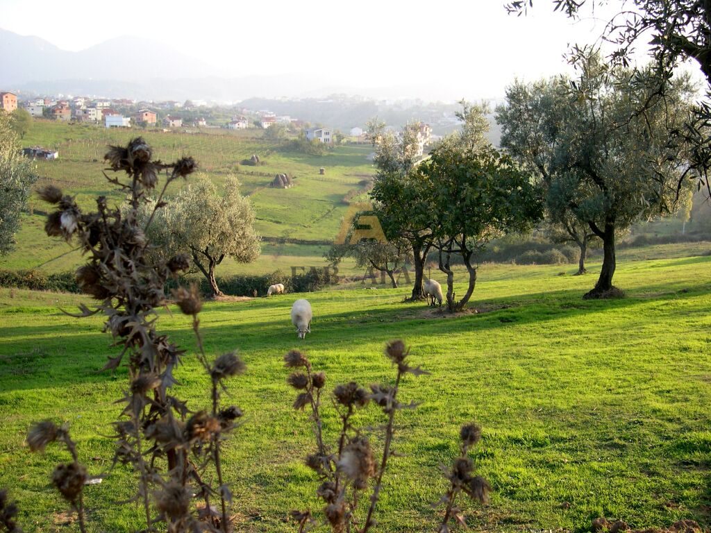 NE FARKE 10.500 M2 TOKE PER SHITJE!