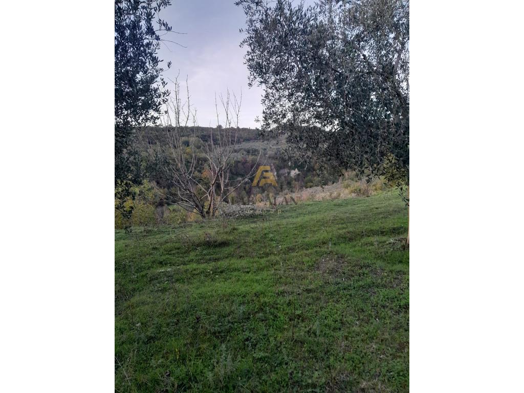 NE GURRE TE MADHE 3000 M2 TOKE PER SHITJE! 2
