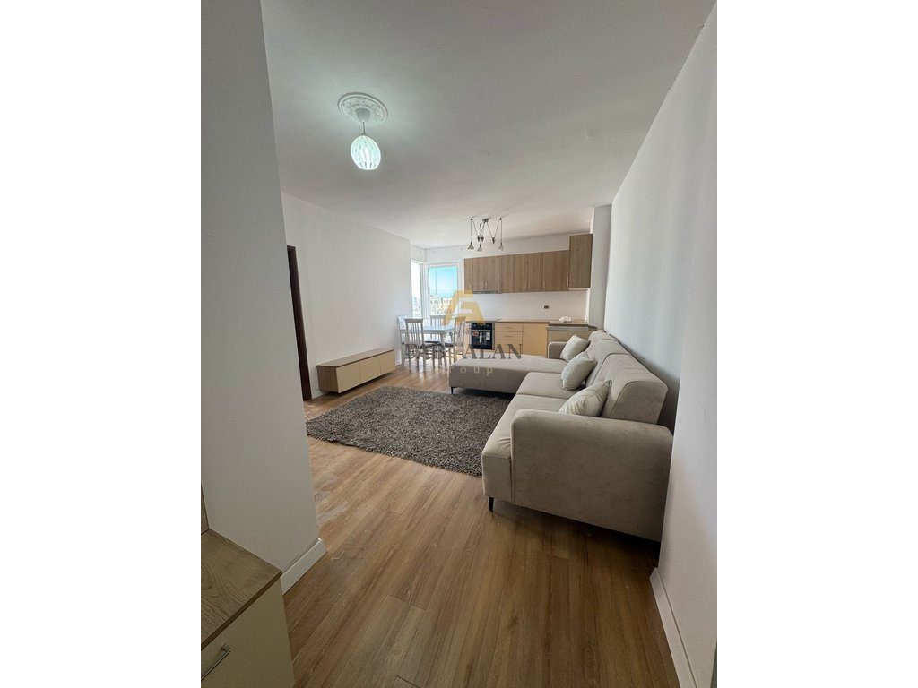 TEK VOLLGA APARTAMENT 1+1 ME PAMJE NGA DETI! 2