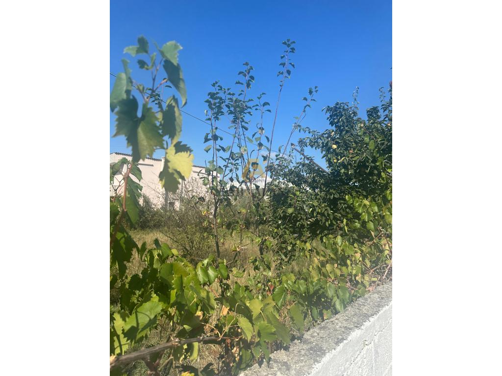 Shitet Tokë në Rrugë Kryesore – Rruga Monarkia, Kamëz 3
