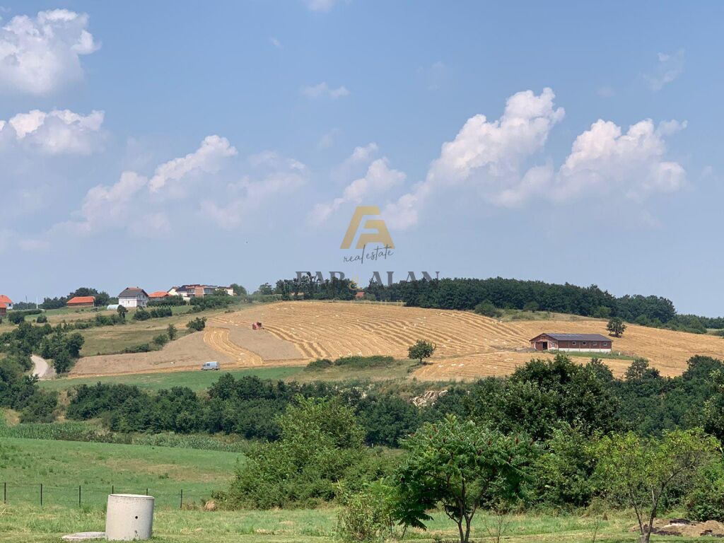 NE FLLAKE VILE + AMBIENT BIZNESI DHE TOKE PER SHITJE!