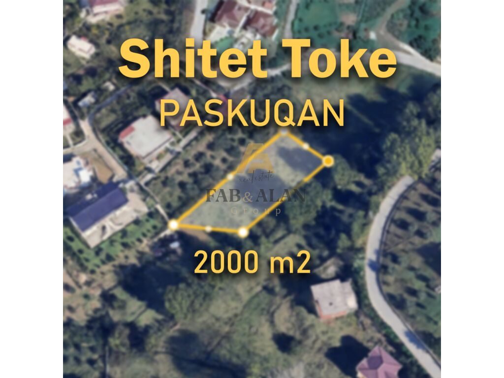 TOKE NE PASKUQAN PER SHITJE!
