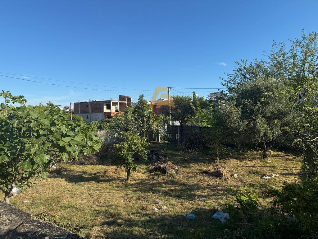 NE SHKOZET DURRES TOKE TRUALL PER SHITJE! 4