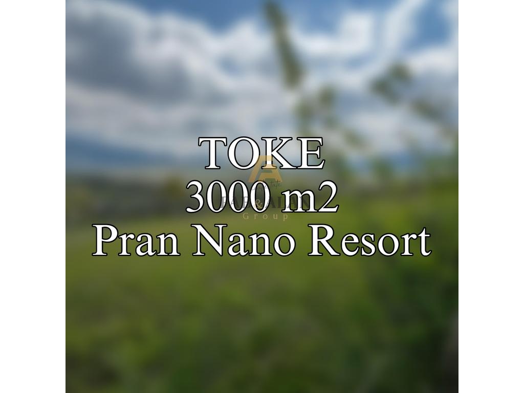 TOKE 3000 M2 NE GURRE TE MADHE PRAN NANO RESORT!