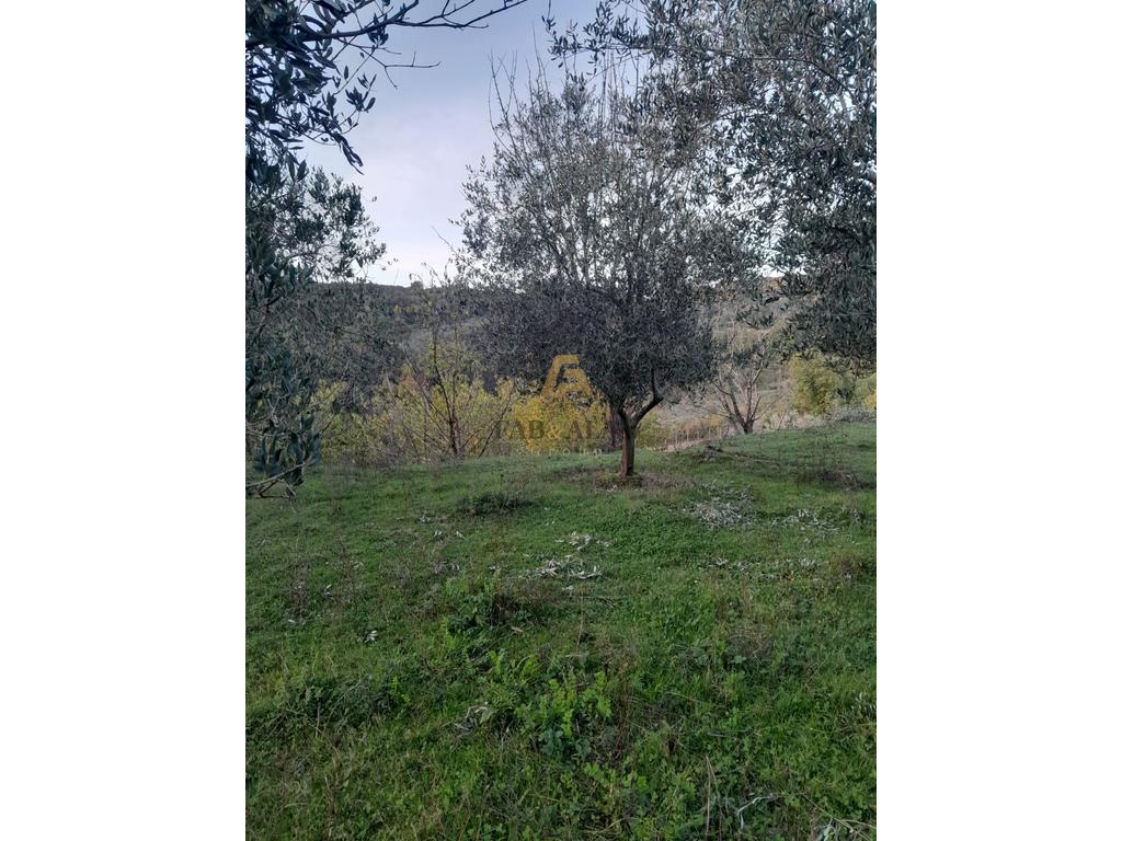 NE GURRE TE MADHE 3000 M2 TOKE PER SHITJE!
