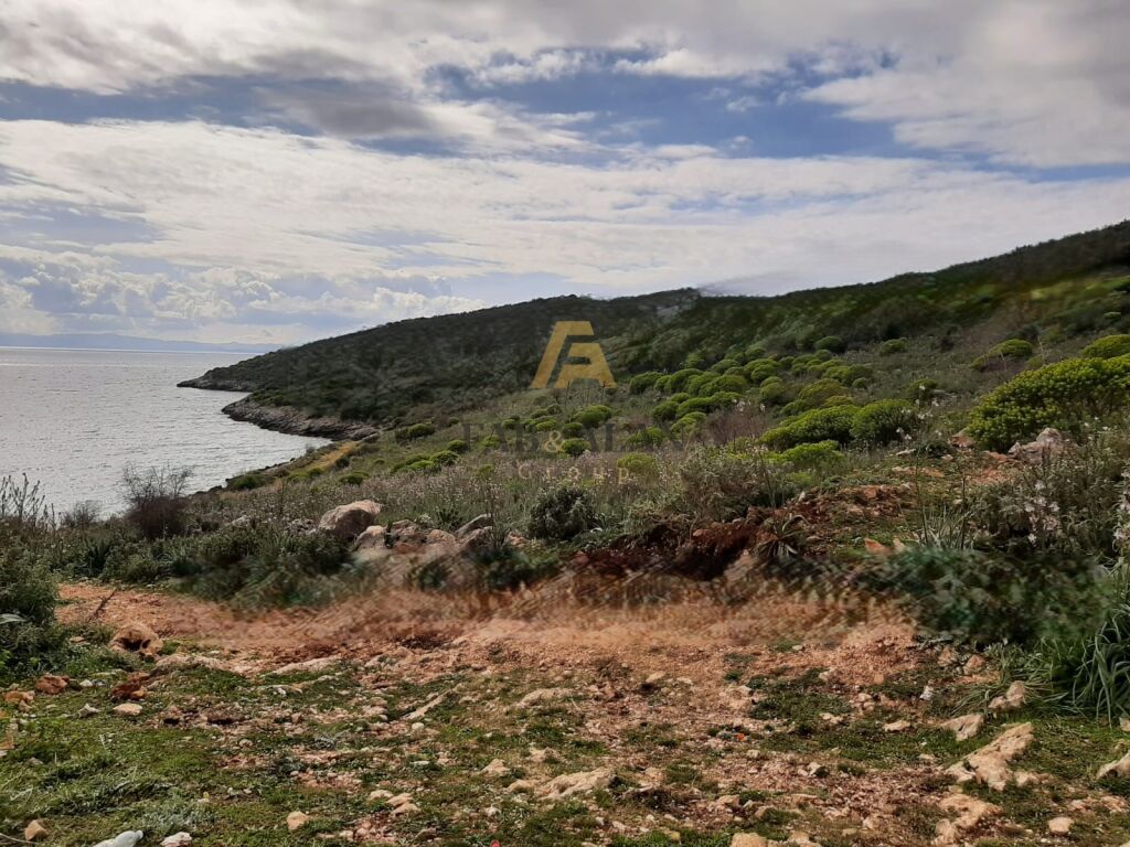 NE QEPARO, HIMARE TOKE 10.500 M2 PER SHITJE SHUME PRANE DETIT!
