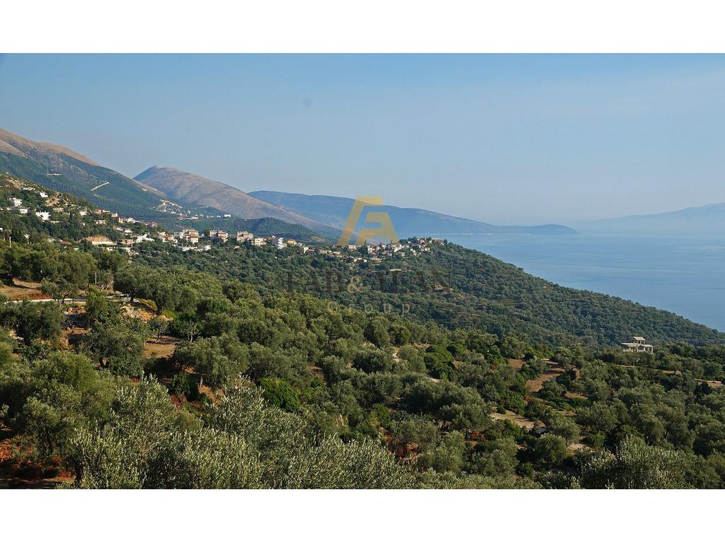 TOKE 17.000 M2 PER SHITJE NE PIQERAS!
