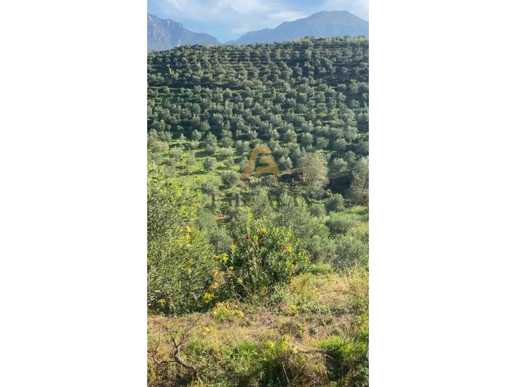 TEK LIQENI I CERKEZES TOKE PER SHITJE! 3
