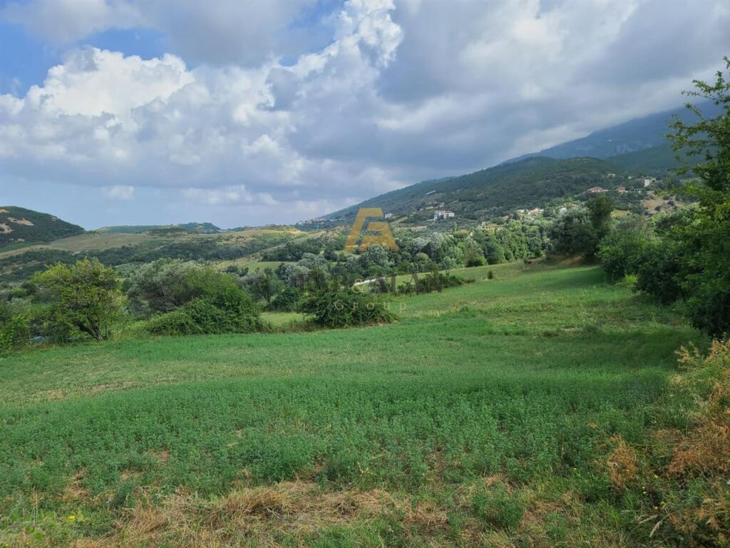 NE FARKE PRANE PRISKES SUPER TOKE PER SHITJE!