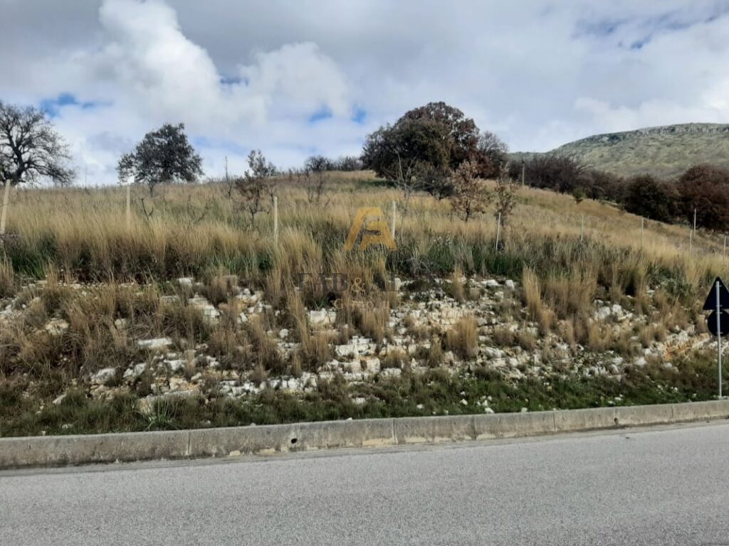 NE QEPARO, HIMARE TOKE 11.500 M2 PER SHITJE!