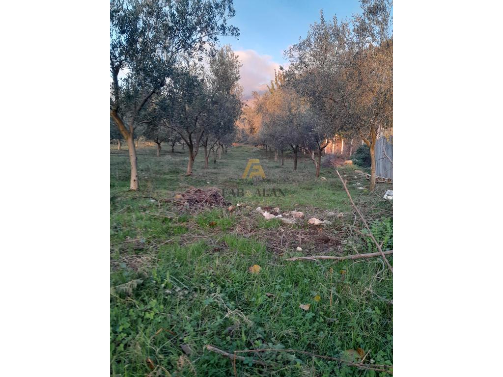 NE GURRE TE MADHE 3000 M2 TOKE PER SHITJE! 3