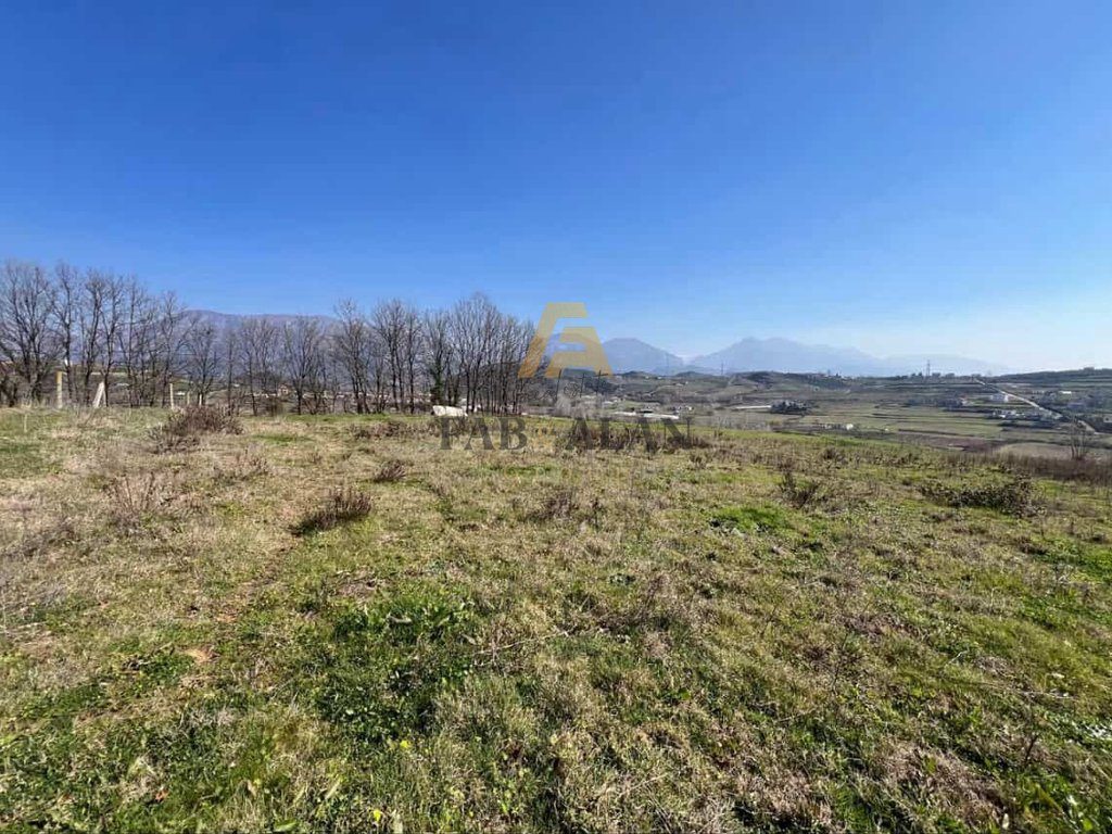 NE TAPIZE 3500 M2 TOKE PER SHITJE!