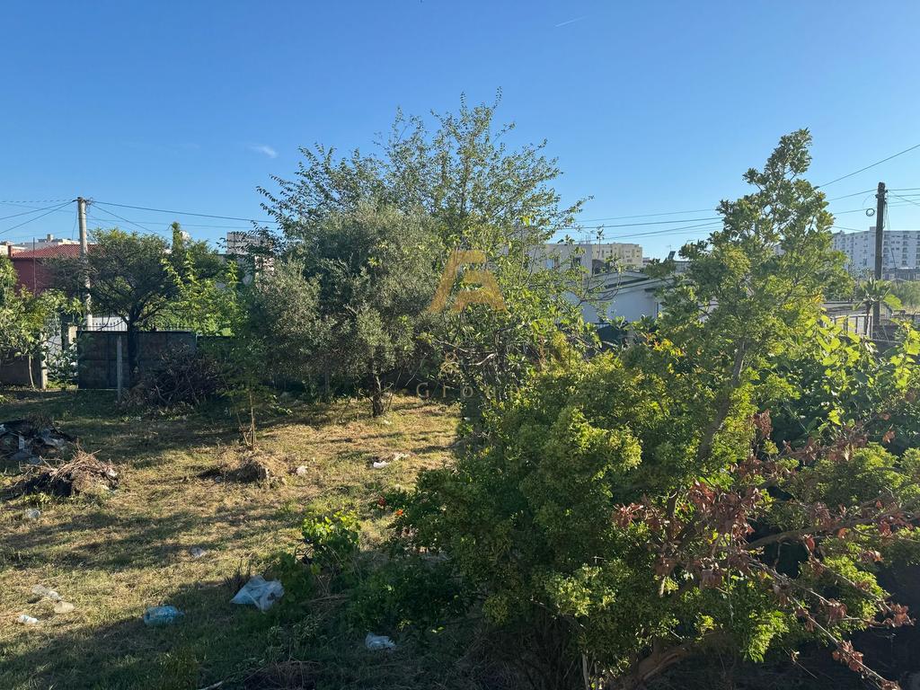 NE SHKOZET DURRES TOKE TRUALL PER SHITJE! 3