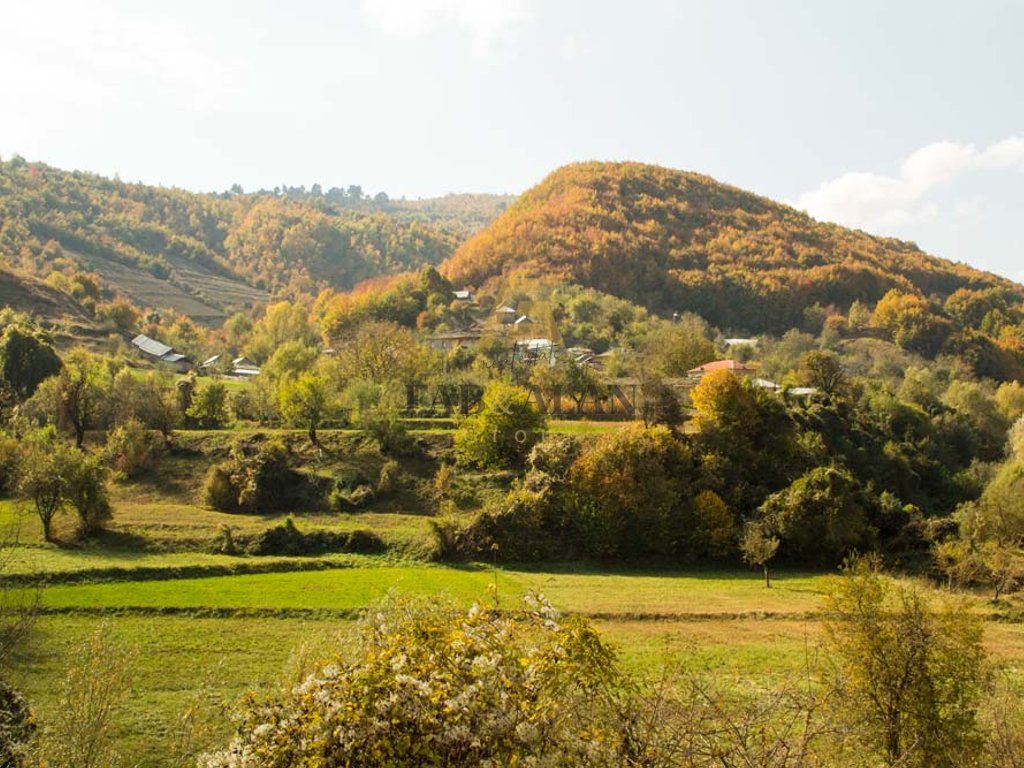 NE DEVOLL 200 HA TOKE PER SHITJE!