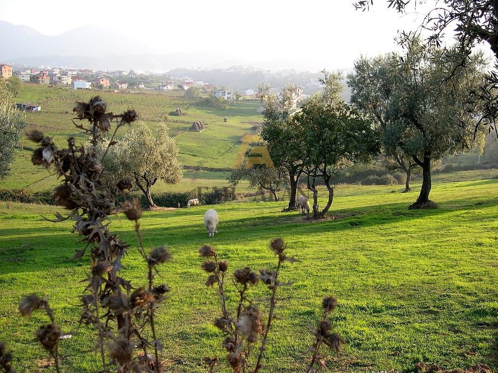 NE FARKE TE VOGEL 10.500 M2 TOKE PER SHITJE!