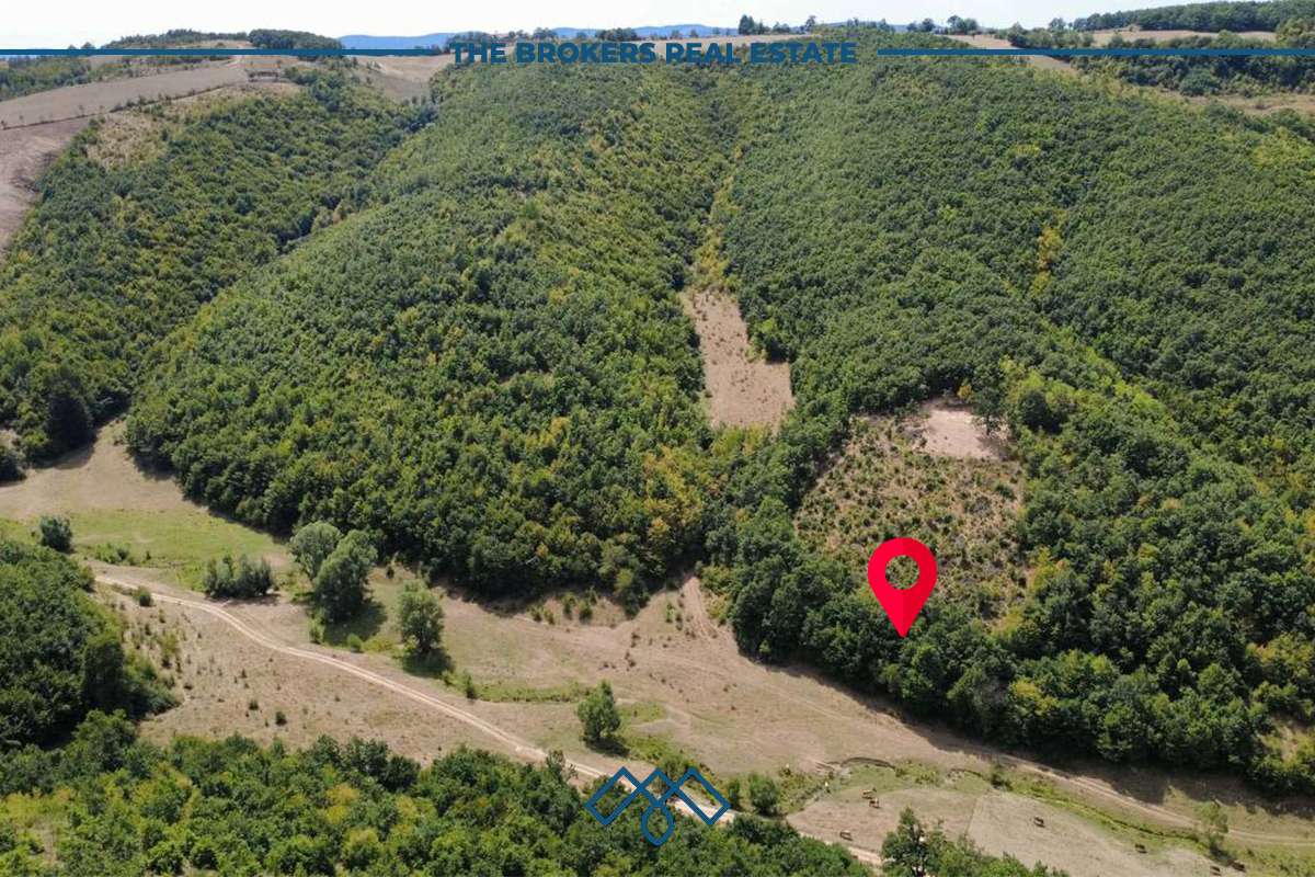 Truall në shitje 20,88 ari – Keqekollë. 2