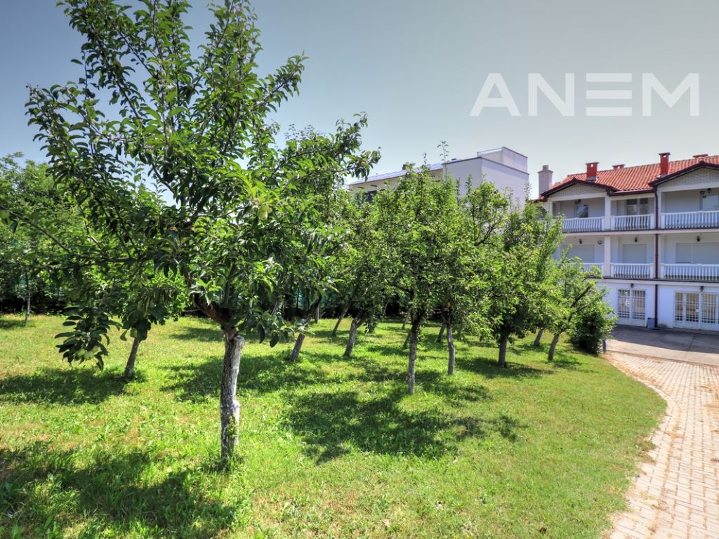 Shtëpi/Zyre me qira 600m2 në lagjen Arbëria - Dragodan 4
