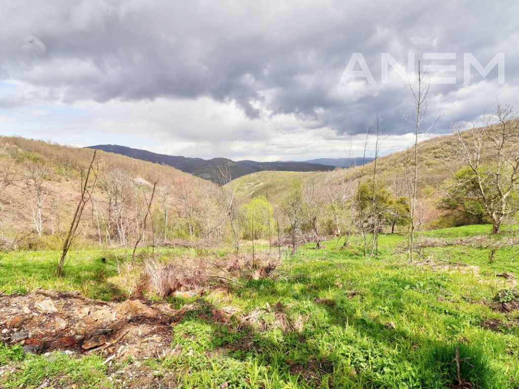 Tokë në shitje 2.8 ha në Novobërdë 3