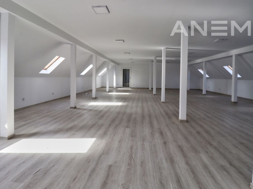 Zyre me qira 220m² në Pejton 2