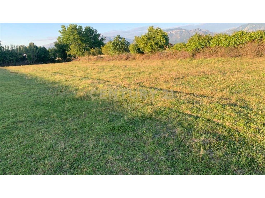 LAND FOR SALE IN BERXULLE, TIRANA