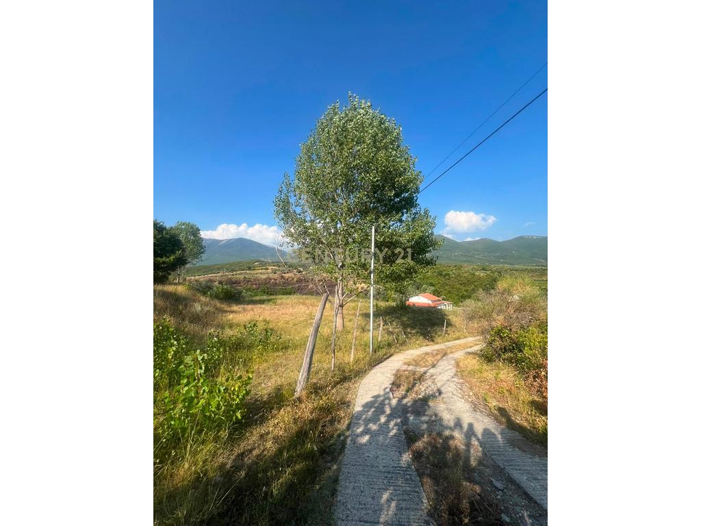 Land for sale 850 + 2300 m² in Daias 2