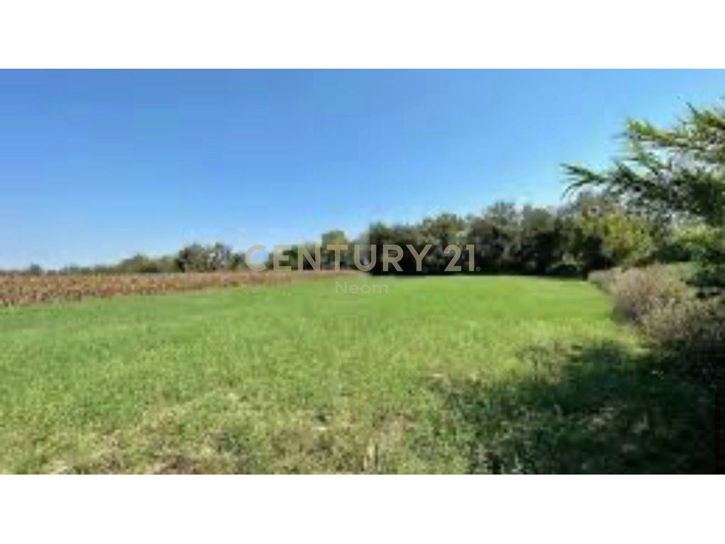 LAND FOR SALE IN BERXULLE, TIRANA 3