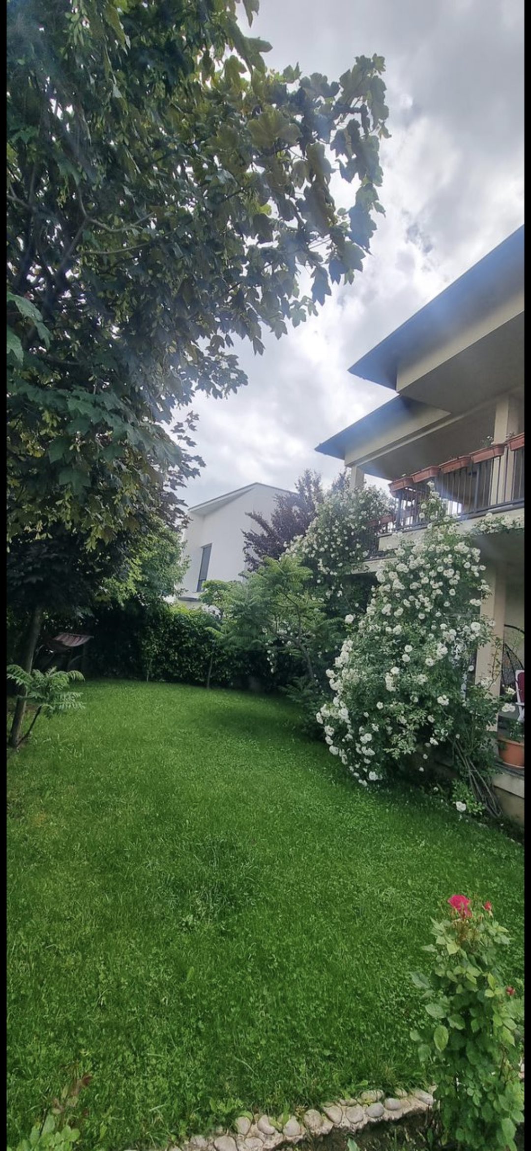 ShtĂ«pi ekskluzive nĂ« shitje â Veterrnik, PrishtinĂ« 2