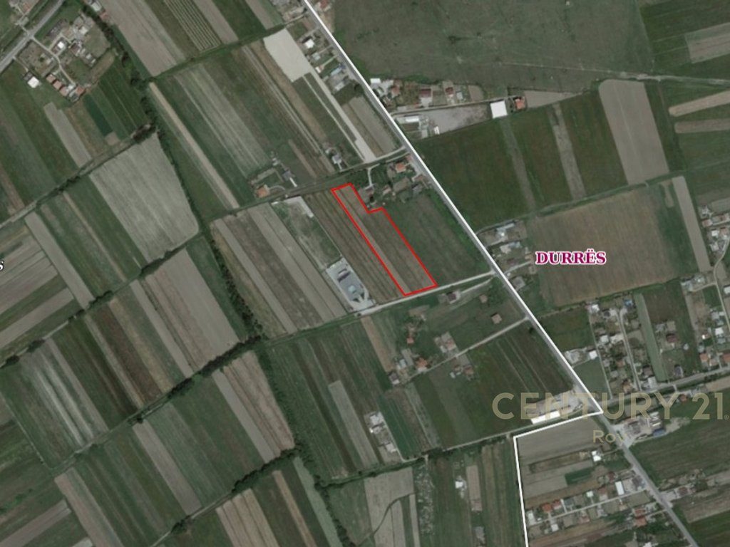 TOKE ARE PER SHITJE NE ZONEN FLLAKE SHUME PRANE AUTOSTRADES !!! 1