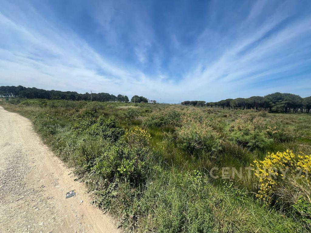 SHITET 4.000M2 TOKE 60€/m2 NE SEKTOR RINIA! 2