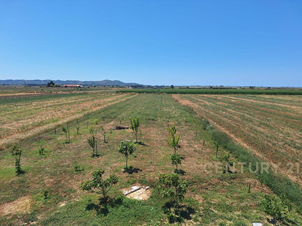 Shitet Vilë Ndertim i Ri 3+2+ Garazhd+ 4470m Toke Në Qerret, Kavajë 3