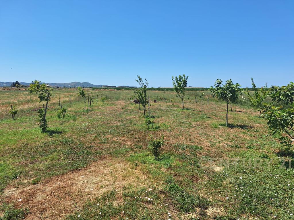 Shitet Vilë Ndertim i Ri 3+2+ Garazhd+ 4470m Toke Në Qerret, Kavajë 2