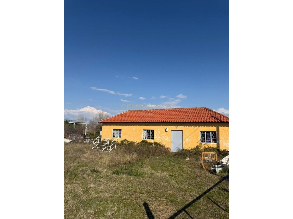 Private House for Sale in Velipojë