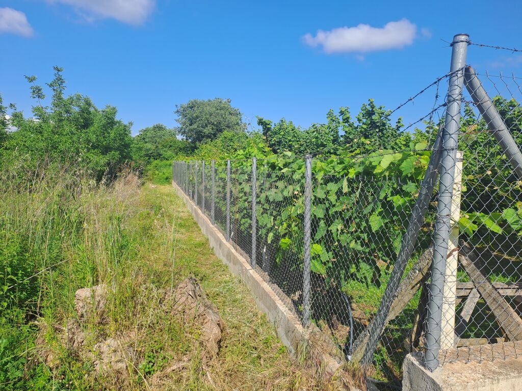 Rural Land 3800 m² for Sale in the village of Hot i Ri. Shkodër - €120,000