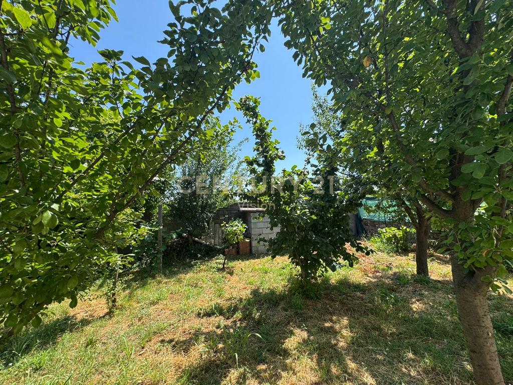 Private house + land for sale in Golem, Shkodër | 1000 m² 3