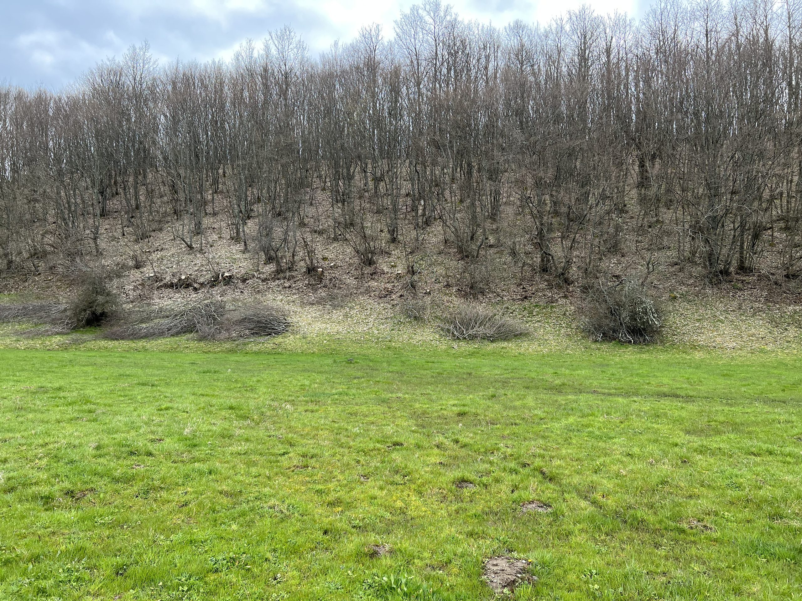 Shitet 14.52 ari në Izvor, Novobërdë (Artanë)