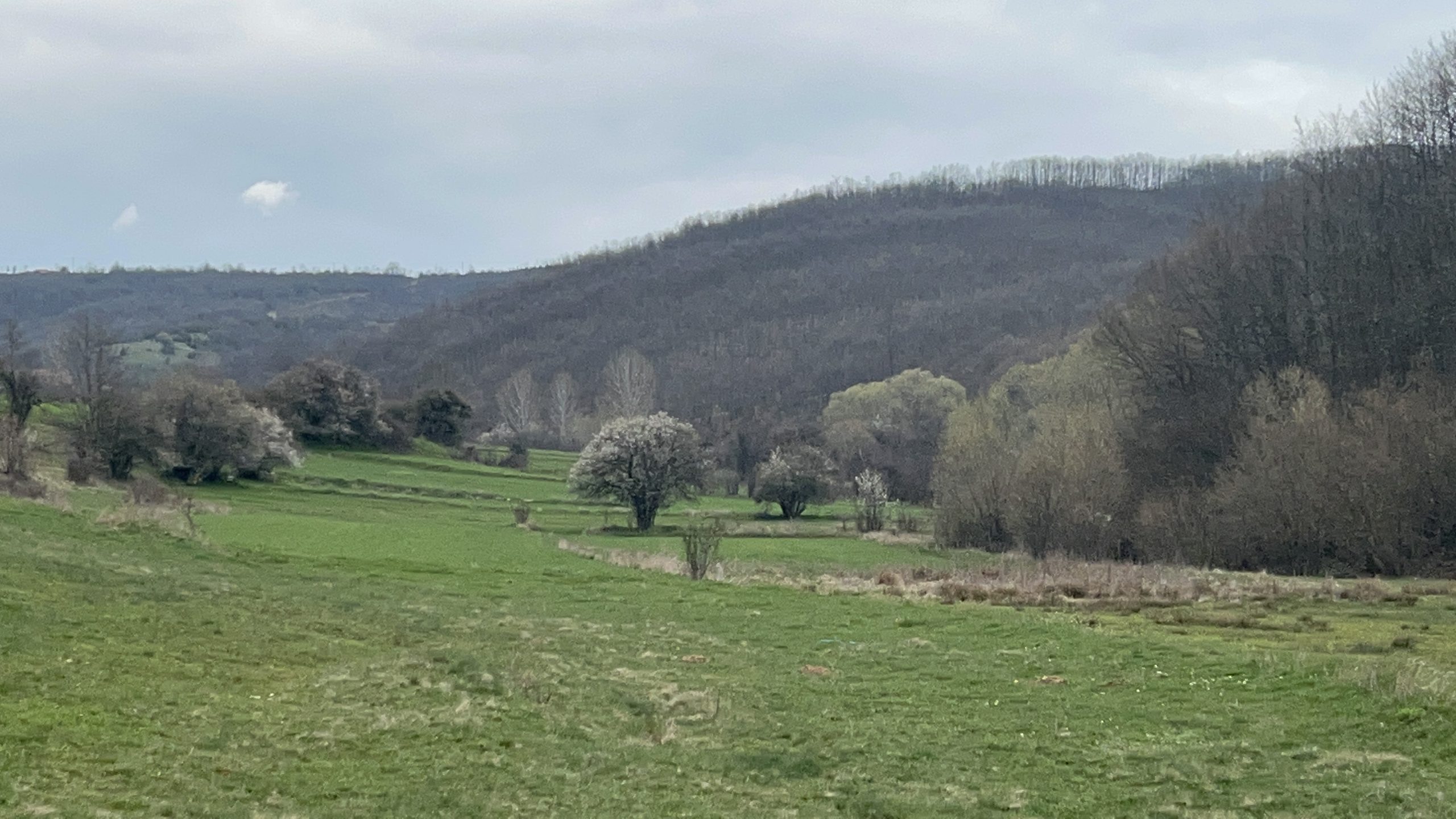 Shitet 14.52 ari në Izvor, Novobërdë (Artanë)