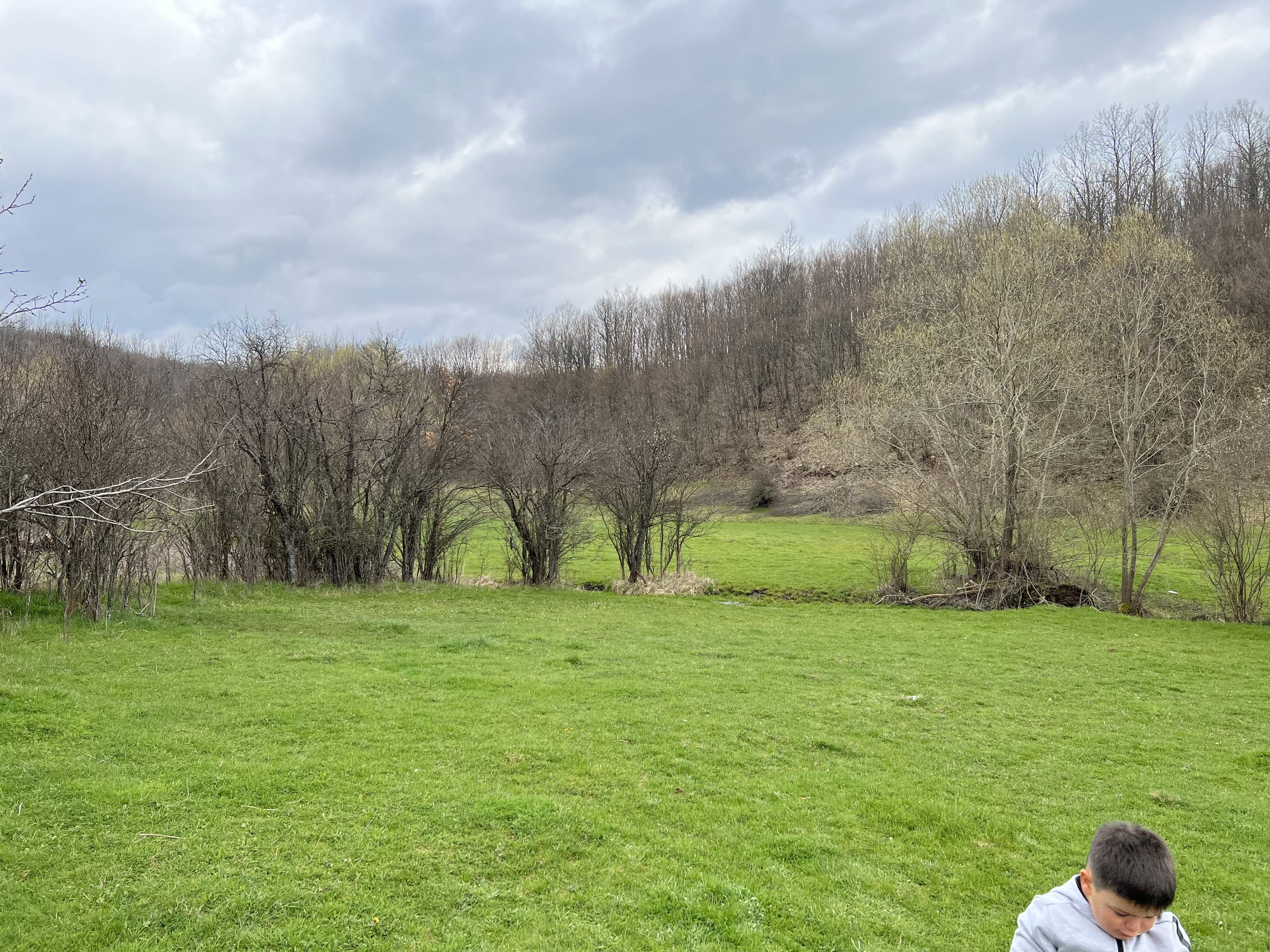 Shitet 14.52 ari në Izvor, Novobërdë (Artanë)