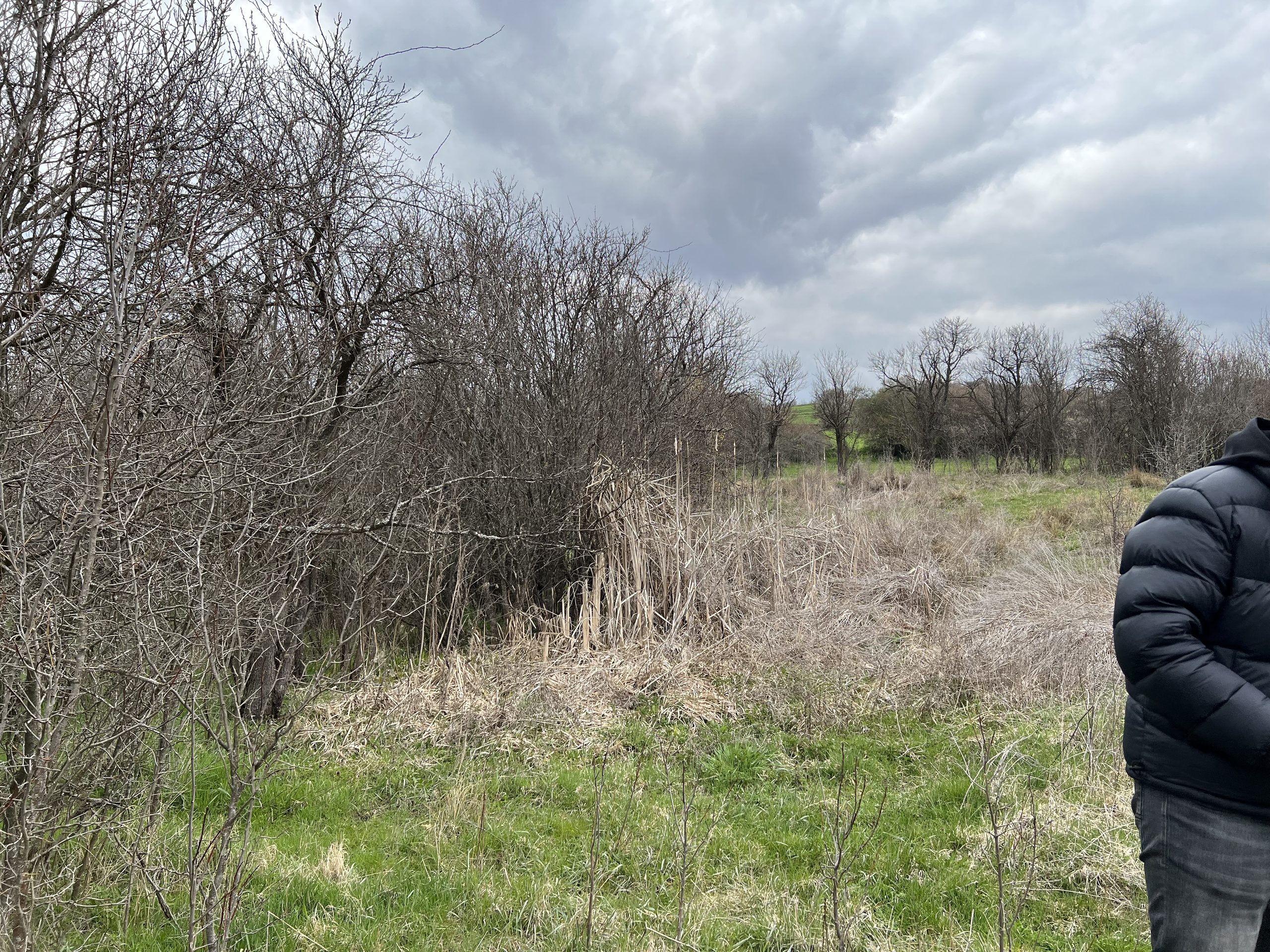 Shitet 14.52 ari në Izvor, Novobërdë (Artanë)