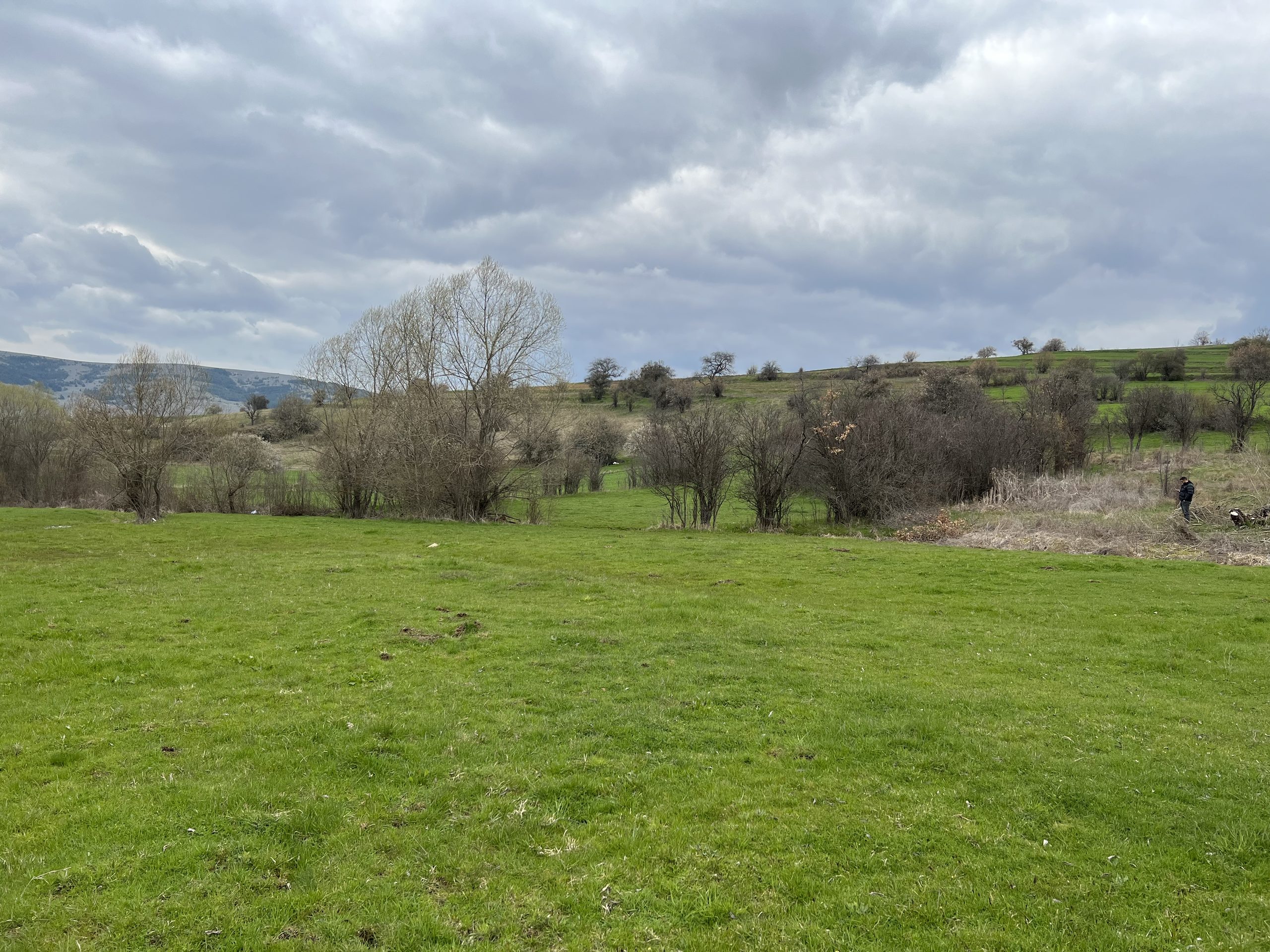 Shitet 14.52 ari në Izvor, Novobërdë (Artanë)
