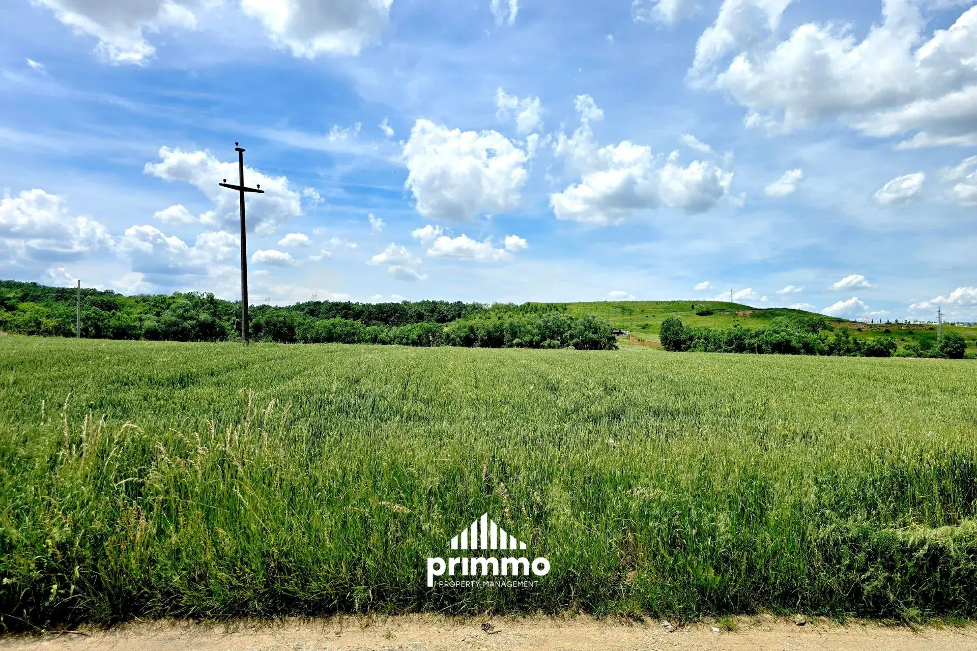 Residential Plot • 38ar
