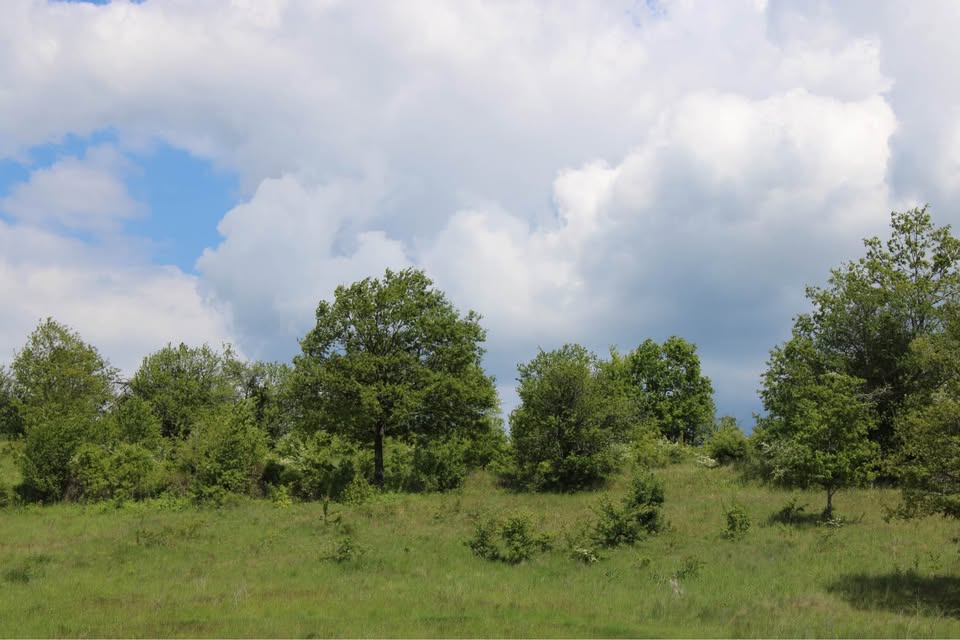 Shiten 283 Ari ne Makresh (Novoberde)