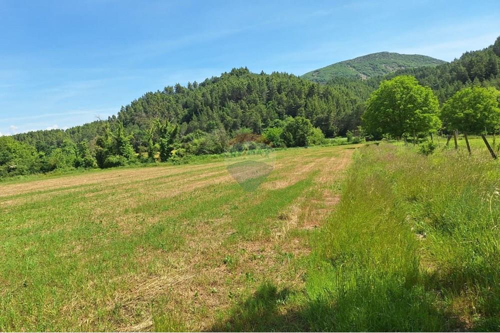 Toke Bujqesore - Në Shitje - Petrelë, Tiranë